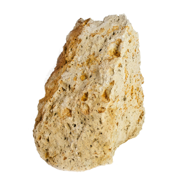 Tufa žlutá 20-40 cm